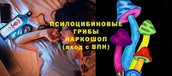спайс Белокуриха