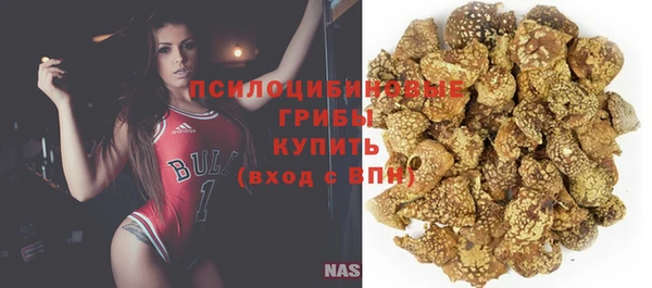 спайс Белокуриха